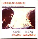 David Sylvian & Sakamoto - Forbidden Colours